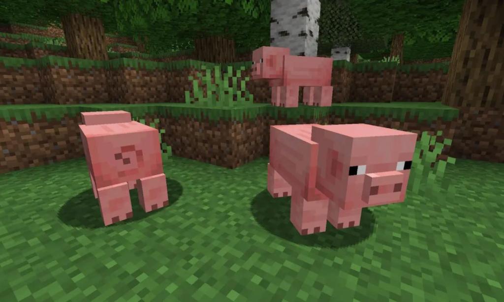 Porcos temperados Minecraft