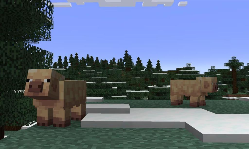 Porcos Frios Minecraft