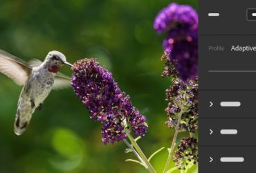 Adobe Apresenta Perfis Adaptativos para Lightroom e Camera Raw