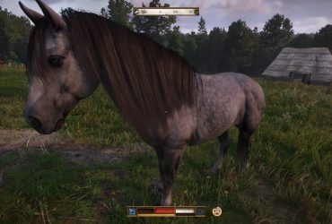 Pedras vs Sardinhas: Escolhendo Seu Cavalo em Kingdom Come: Deliverance 2