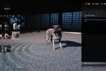 Guia para Adotar Animais de Estimação em Assassin's Creed Shadows