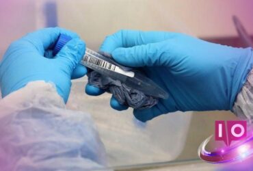 FDA Revela Ferramenta de IA Generativa Elsa Antes do Prazo