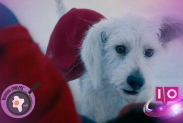 Não É Permitido Socar Cães no Próximo Filme do 'Superman'