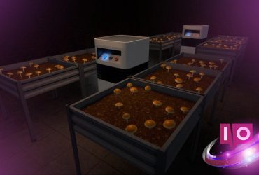 Dominando a Vibração na Busca do 'Cybin' na Schedule 1 (Cogumelos)