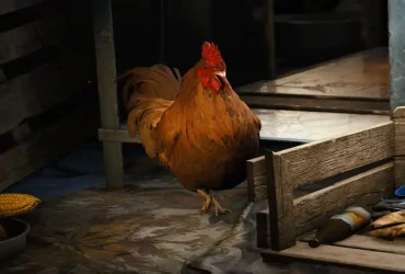 ARC Raiders: Fãs Querem Animais! Um Presente Perfeito
